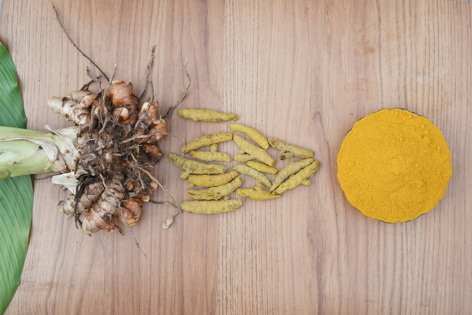 Fresh turmeric root and powder, an example of natural wellness ingredients